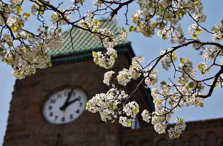 In Holland, we point with pride to the Tower Clock and several downtown buildings.
