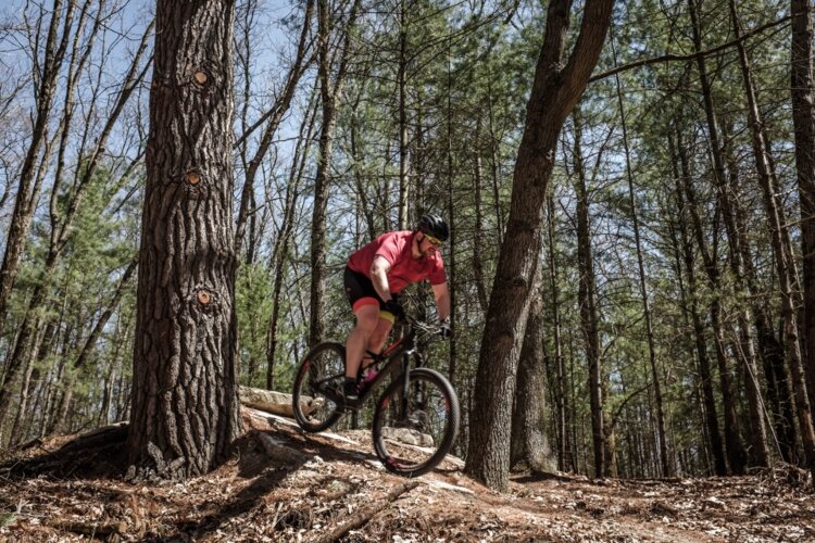 A cyclist rides over some tough terrain. Mosquito Creek trails offers a wide range of different riding experiences for all levels of riders.