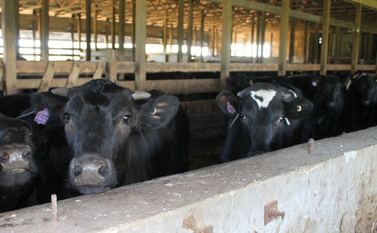 The Ottawa County Commission recently adopted the Focus on Agriculture plan.