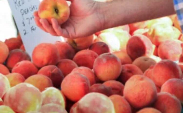 Outdoor farmers markets are in full swing across West Michigan, including in Saugatuck, Holland, and Grand Haven.