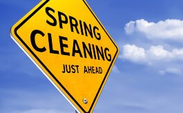 Spring cleaning is for the birds.