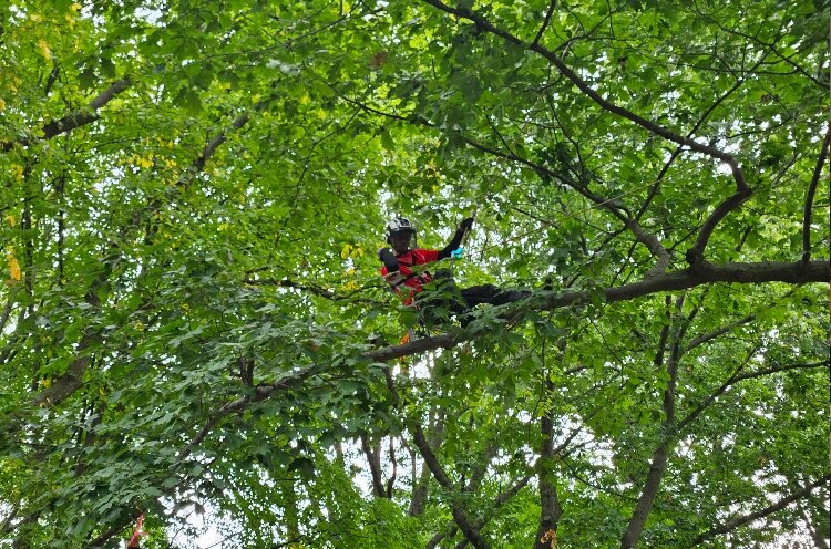  The annual Michigan Tree Climbing Championship is coming to Holland Sept. 20-22 for its 30th anniversary. 