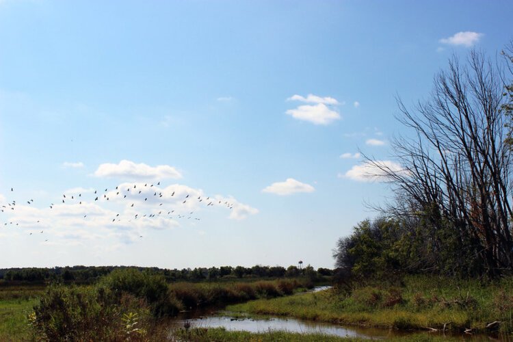 The Allegan State Game Area offers more than 50,000 acres where families can enjoy nature.
