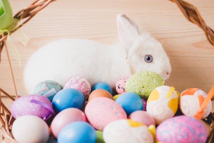 Dress in your Easter finery and head to Beery Field in Douglas for the annual Easter Parade and Egg Hunt. (Image by Freepik)