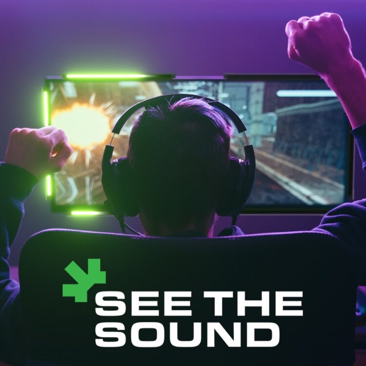 Audio Radar was invented to improve the gaming experience for gamers who are hearing impaired.