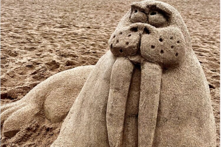 Head down to Grand Haven City Beach for the 40th local Sand Sculpture Contest, from 9 a.m. to 1 p.m. Aug. 12.