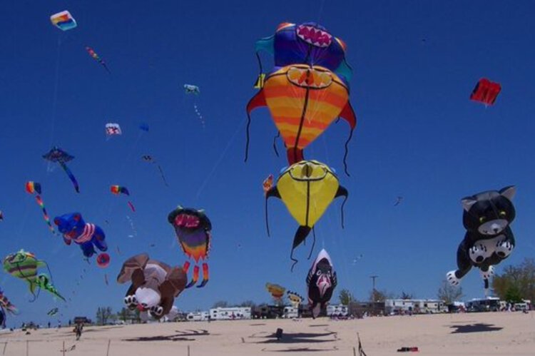 World-famous stunt kite flyers perform to music on the center flying field while kites larger than a school bus hover just to the south. 