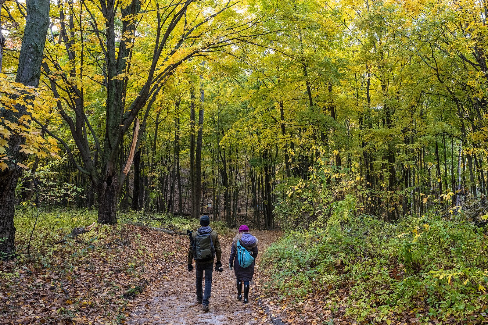 Mt. Pisgah. Photo by Doug Coombe.