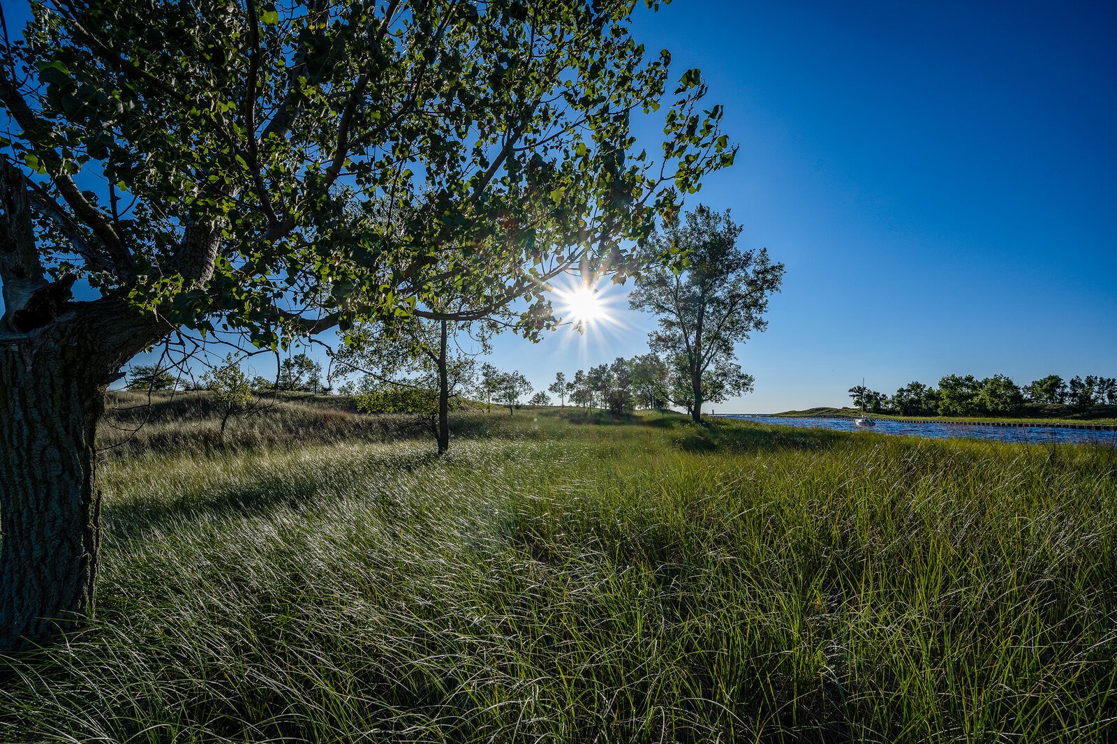 Saugatuck Harbor Natural Area. Photo by Doug Coombe.