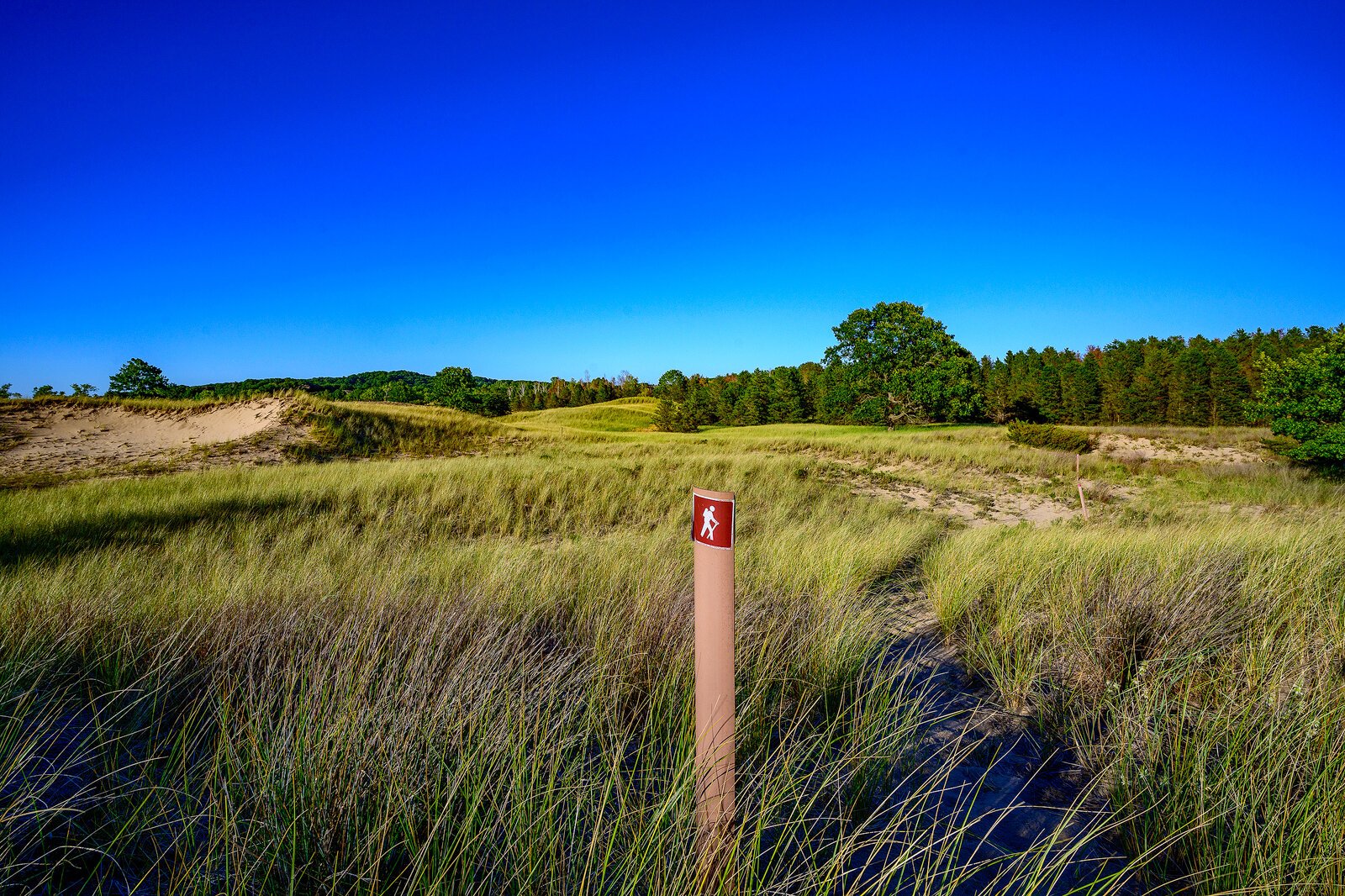 Saugatuck Harbor Natural Area. Photo by Doug Coombe.