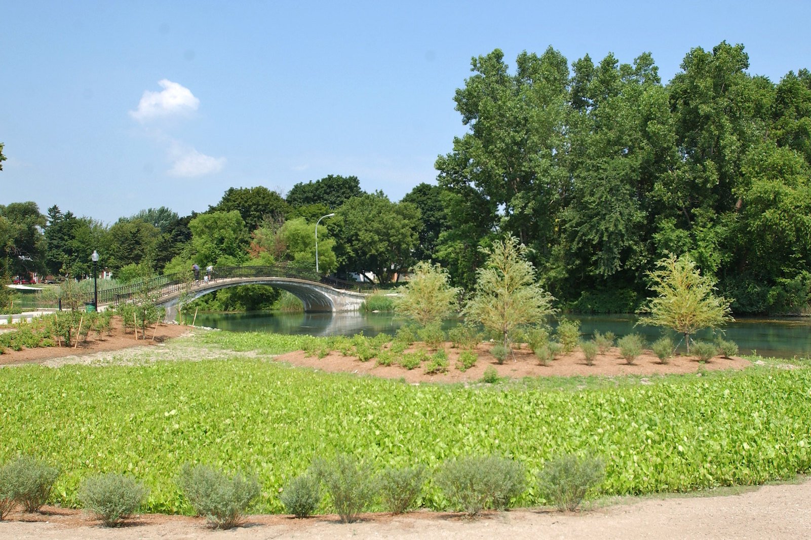 Elizabeth Park in Trenton was revitalized and now demonstrates ways to control water after a rain. Photo courtesy Todd Marsee, Michigan Sea Grant